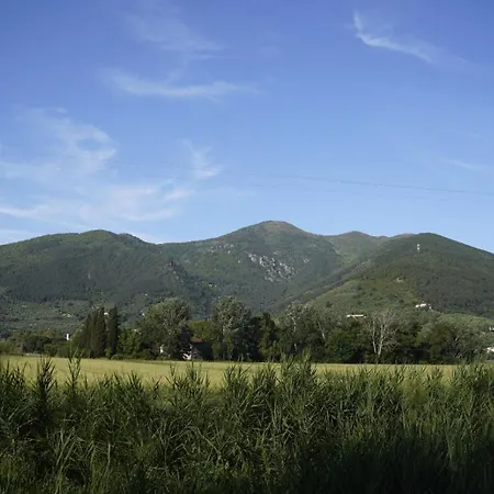 La Stamberga Nel Bosco *